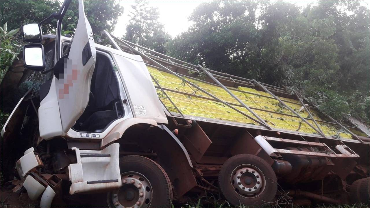 Caminhão carregado frangos vivos tomba na PR 180 em Cafelândia SOT