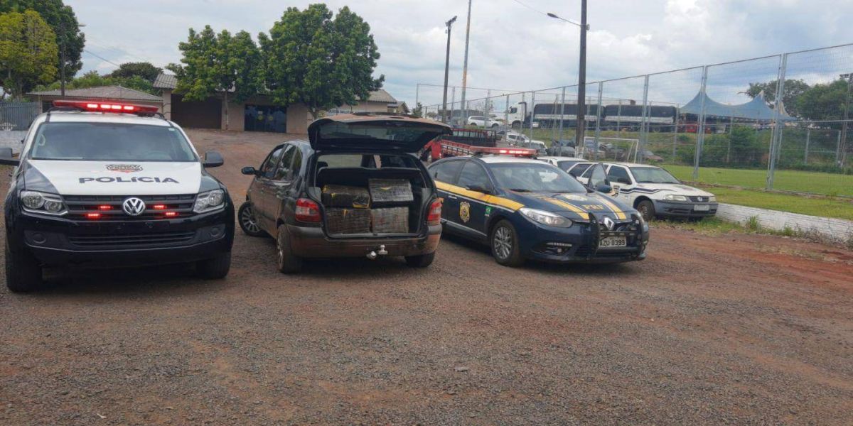 PRF e Polícia Civil prendem traficante com 240 quilos de maconha em Santa Lúcia (PR)