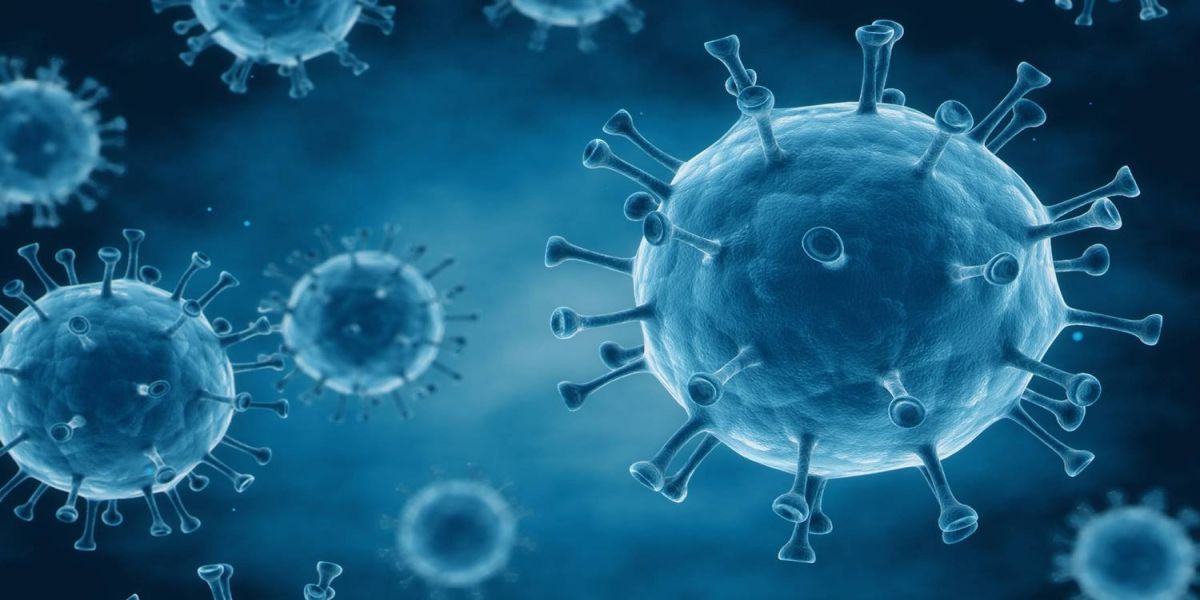 Sebrae/PR divulga publicação com editais  de inovação para combater o Coronavírus