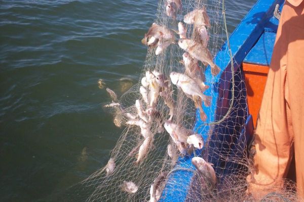 Polícia Ambiental apreende mais de mil metros de rede de pesca e 50 espinheis