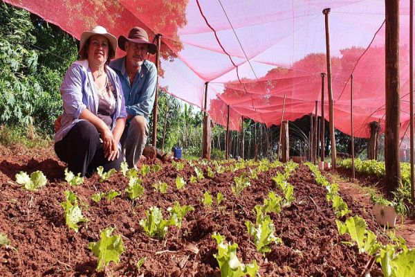 Renda Agricultor Familiar: projeto fortalece em 2025 mais 955 famílias em vulnerabilidade