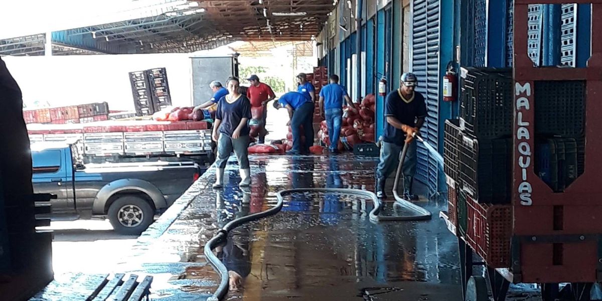 Ceasas intensificam os trabalhos de higienização