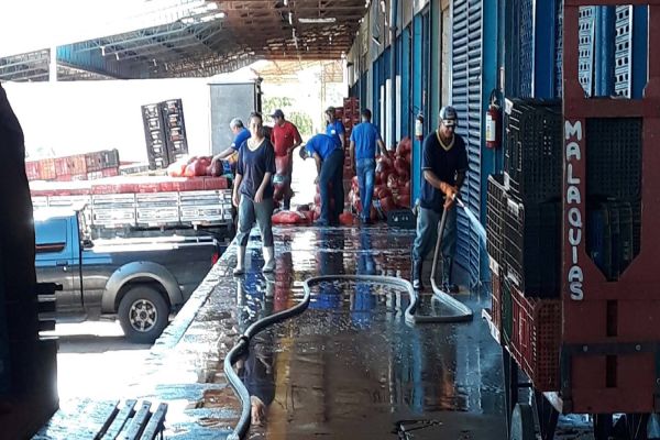 Ceasas intensificam os trabalhos de higienização