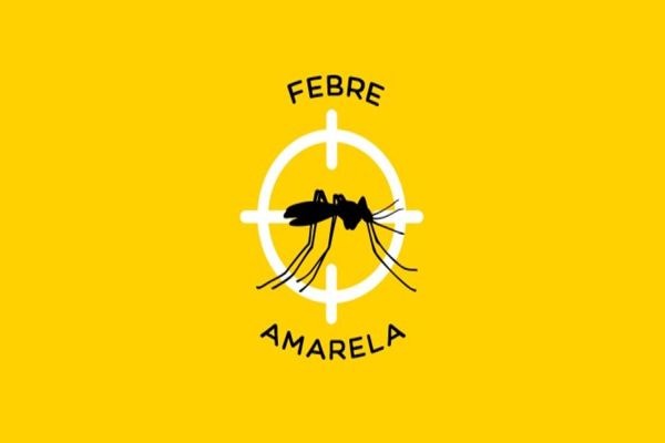 Saúde do Paraná registra mais 74 mortes de macacos por febre amarela