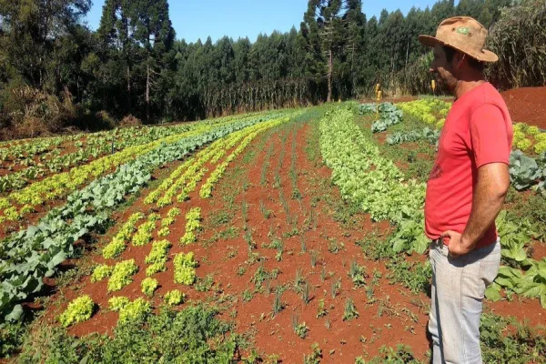 Foto relacionada a notícia: Cooperativa de orgânicos aumenta faturamento durante a crise do Coronavírus