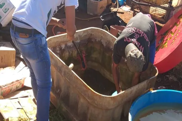 Foto relacionada a notícia: Cascavel chega a mais de 2,4 mil casos de dengue e apela à população para eliminar criadouros