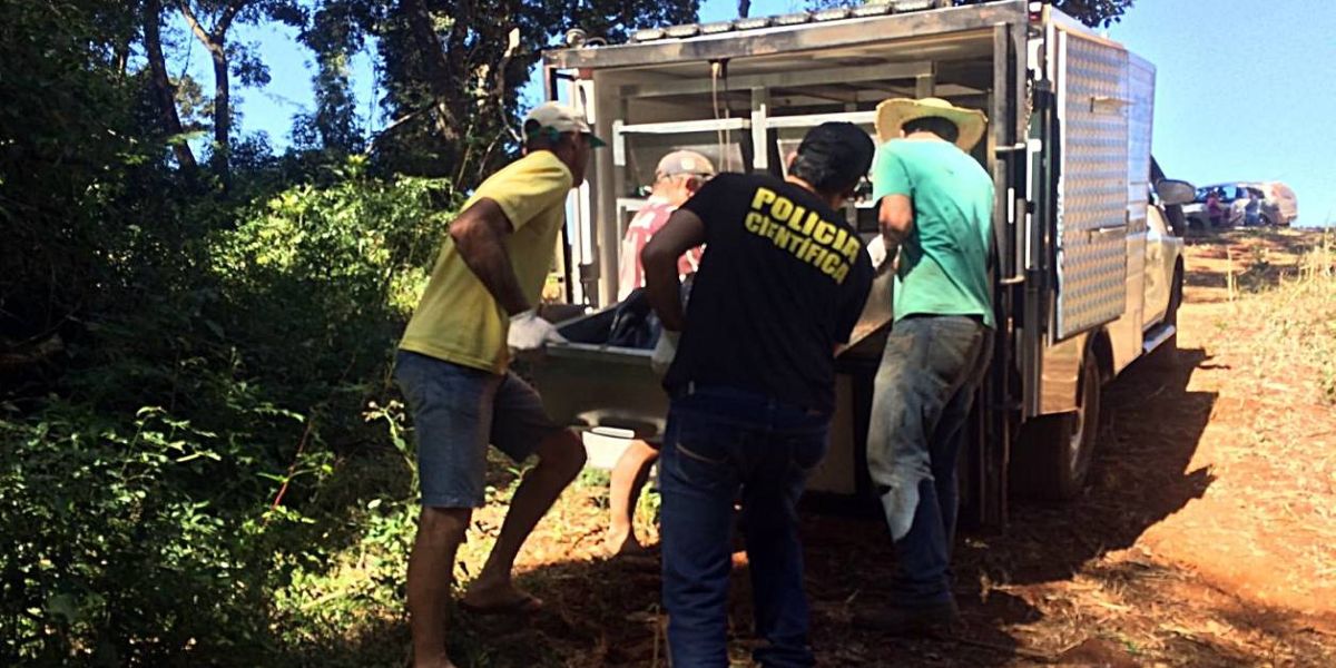 Pioneiro de Guaraniaçu morre após atingindo por galho de arvore