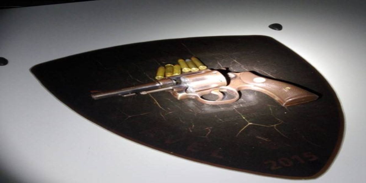Guarda Municipal apreende arma de fogo no Bairro Turisparque