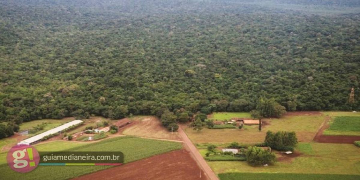 STF nega reabertura da Estrada do Colono