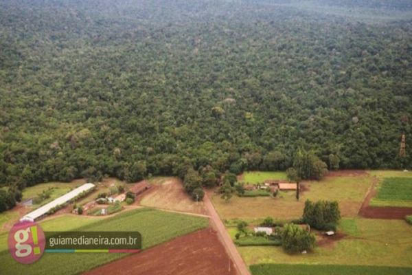 STF nega reabertura da Estrada do Colono