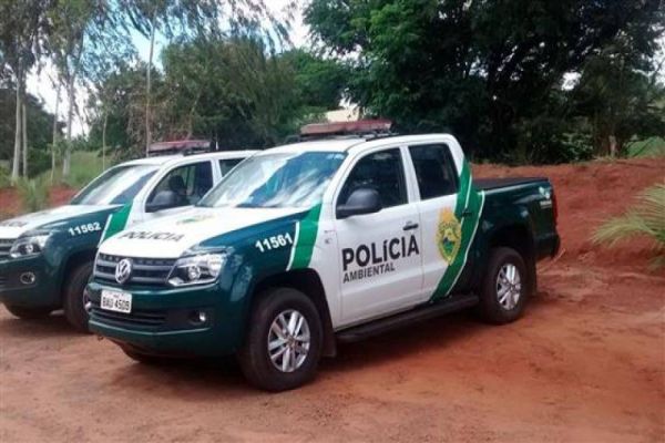 Homem morre em confronto com a Polícia Ambiental em Bituruna