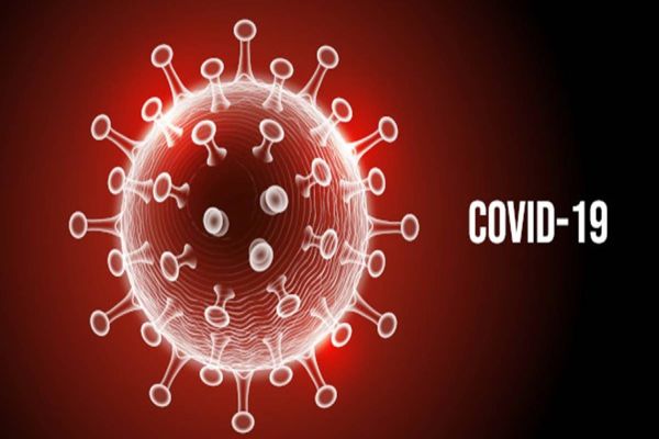 Paraná tem 1140 casos de Covid-19 e 69 mortes