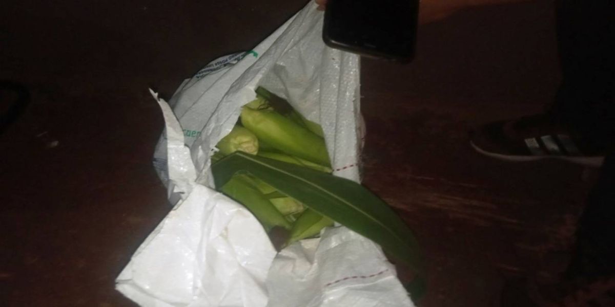 Furto de milho termina com um baleado e dois presos em Foz do Iguaçu