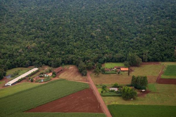 Decisão do STF deve ser respeitada, mas não significa o fim do sonho da reabertura