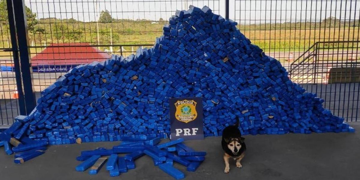 PRF encontra quase uma tonelada de maconha em meio a carga de sofás