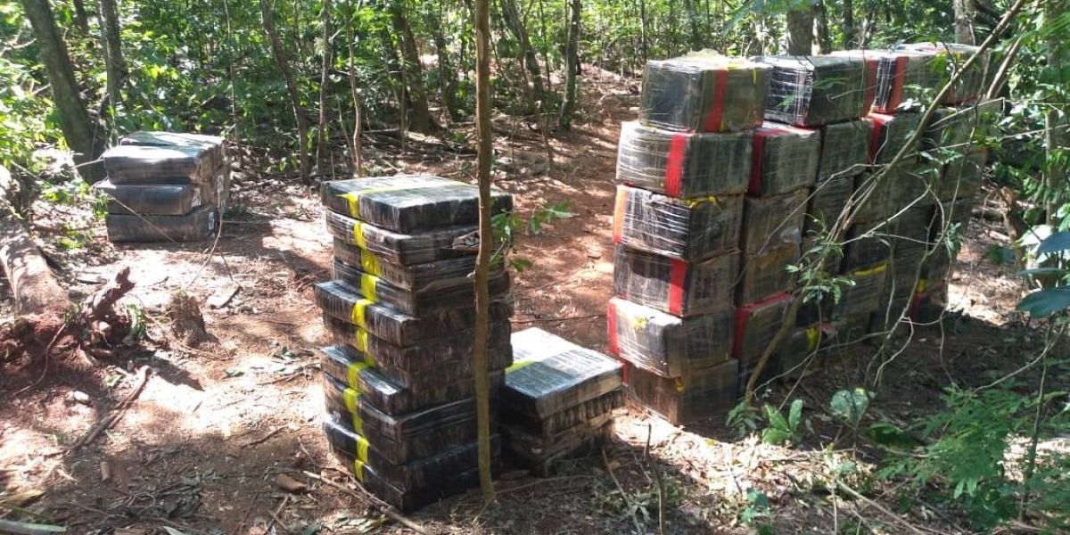 Operação Hórus: Policiais federais apreende mais de uma tonelada de maconha