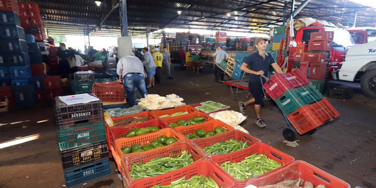 Tecpar desenvolve programa de certificação em parceria com a Ceasa