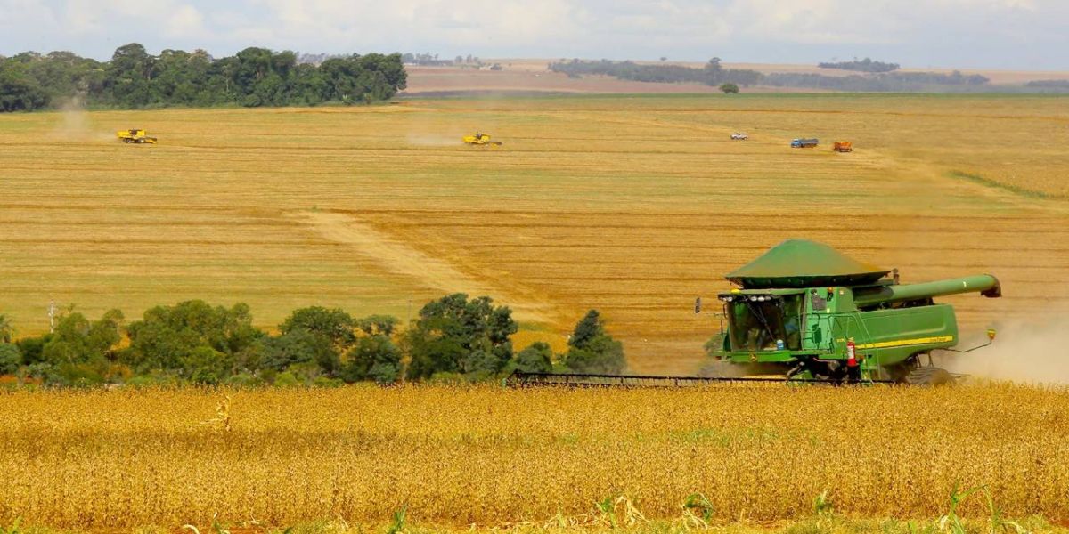Safra de Soja do Paraná se aproxima do recorde e reforça otimismo, aponta Deral