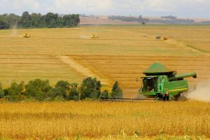 Imagem referente a notícia: Safra de Soja do Paraná se aproxima do recorde e reforça otimismo, aponta Deral