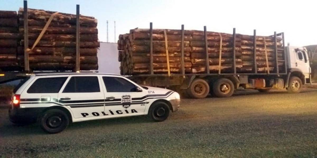 Polícia Civil recupera carga de madeira roubada