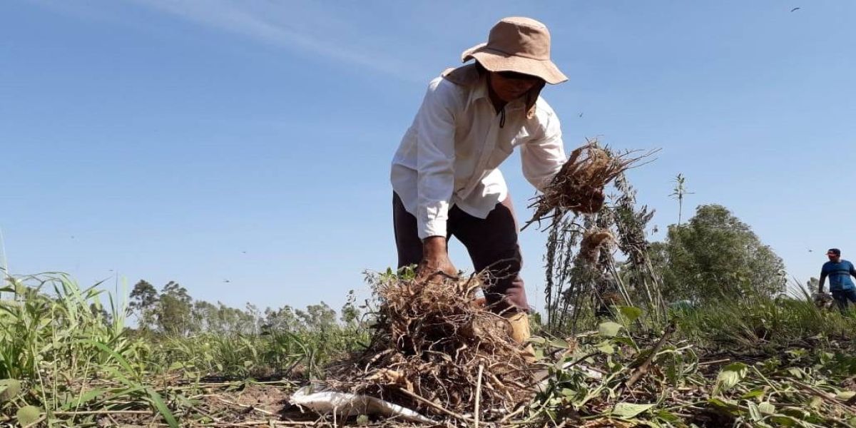 Cenário de crise exige capacidade de negociação de pequenos negócios que atuam no exterior