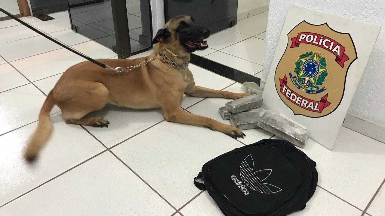 Foto relacionada a notícia: Polícia Federal prende um homem em flagrante por tráfico de drogas