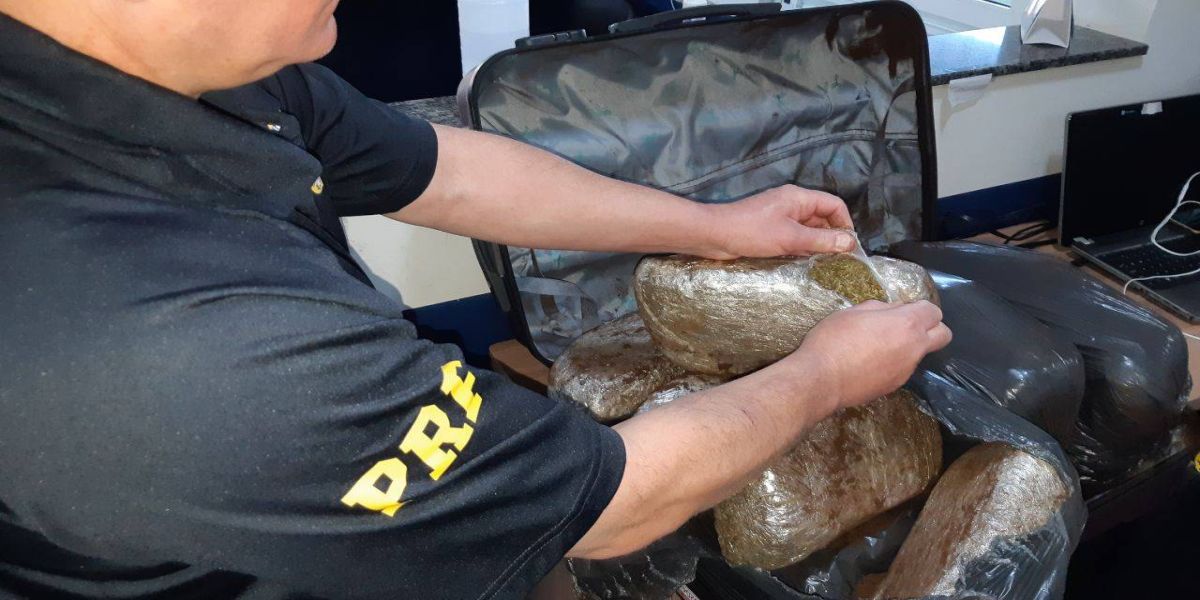PRF encontra 10Kg de entorpecente em ônibus que ia para Curitiba