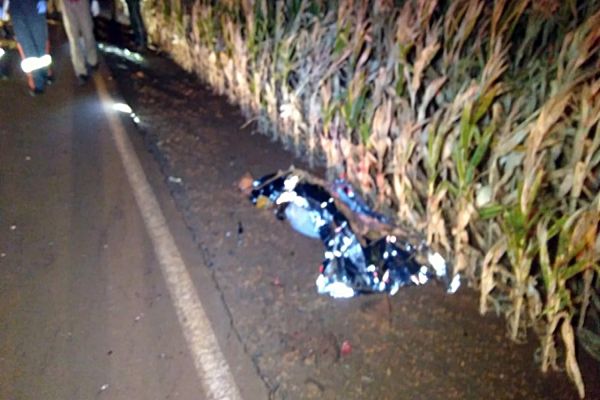 Imagem referente a notícia: Homem morre após ser atropelado enquanto andava de cavalo no interior de Toledo