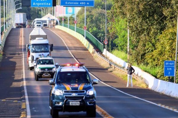 Imagem referente a notícia: Elefanta de 50 anos é transferida da Argentina para o Mato Grosso; escolta passou por Foz do Iguaçu
