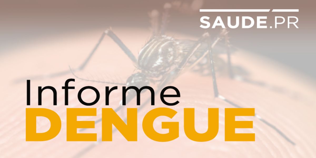 Dez óbitos por dengue confirmados no Paraná