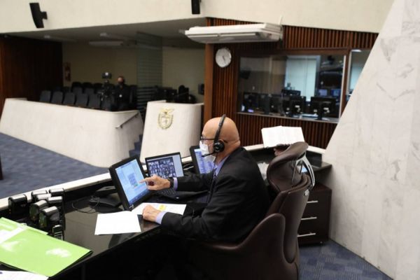 Deputados aprovam projeto que estabelece regras para estimular plantio e exploração da araucária