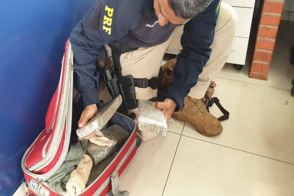 Passageiro de ônibus intermunicipal é detido com 10 tabletes de maconha na BR-277