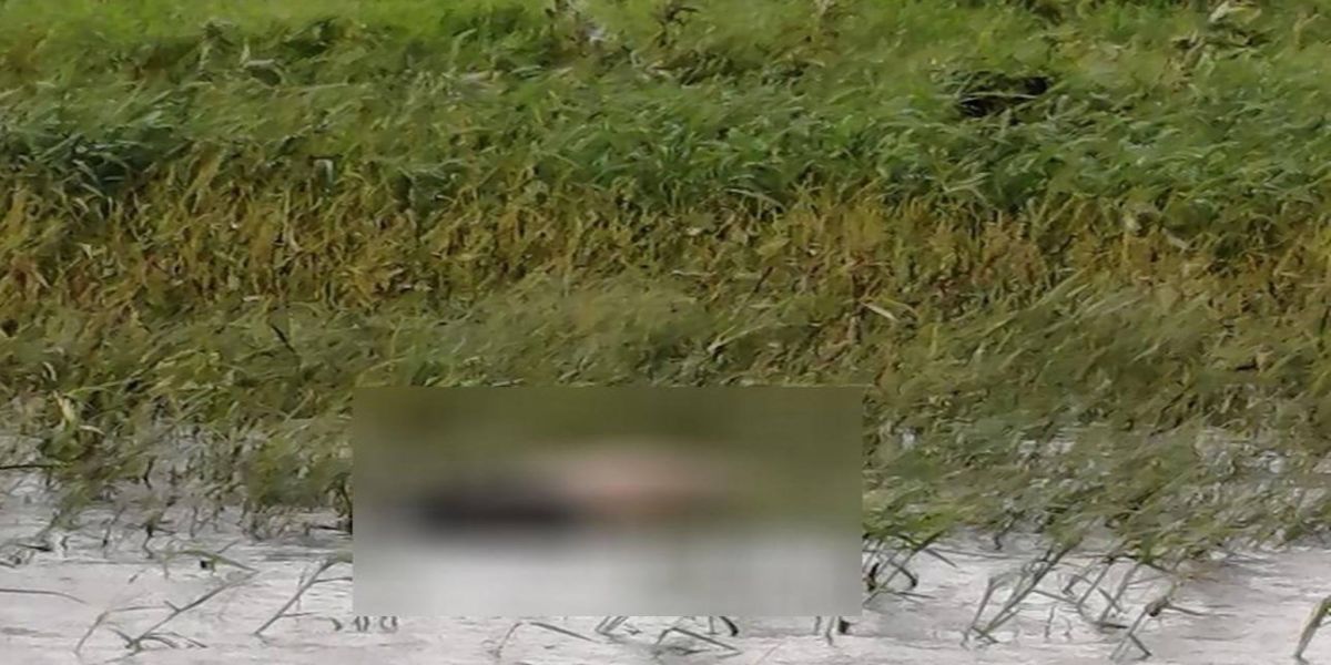 Corpo é localizado as margens do rio Paraná em Guaíra