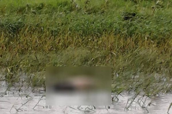 Corpo é localizado as margens do rio Paraná em Guaíra