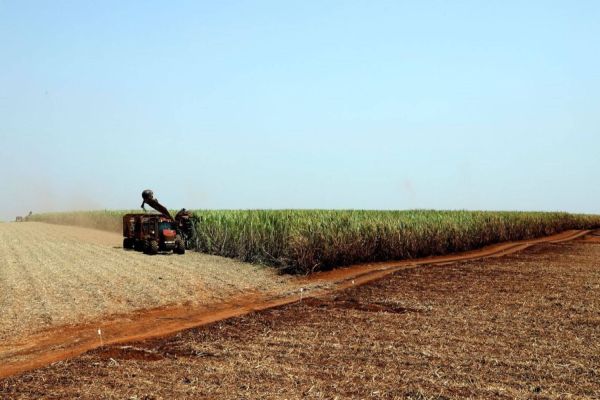 CNA apresenta propostas para Plano Agrícola e Pecuário 2020/2021
