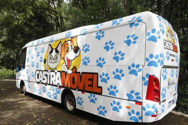 Castramóvel inicia atividades no Riviera com 100% de presença na primeira semana da ação