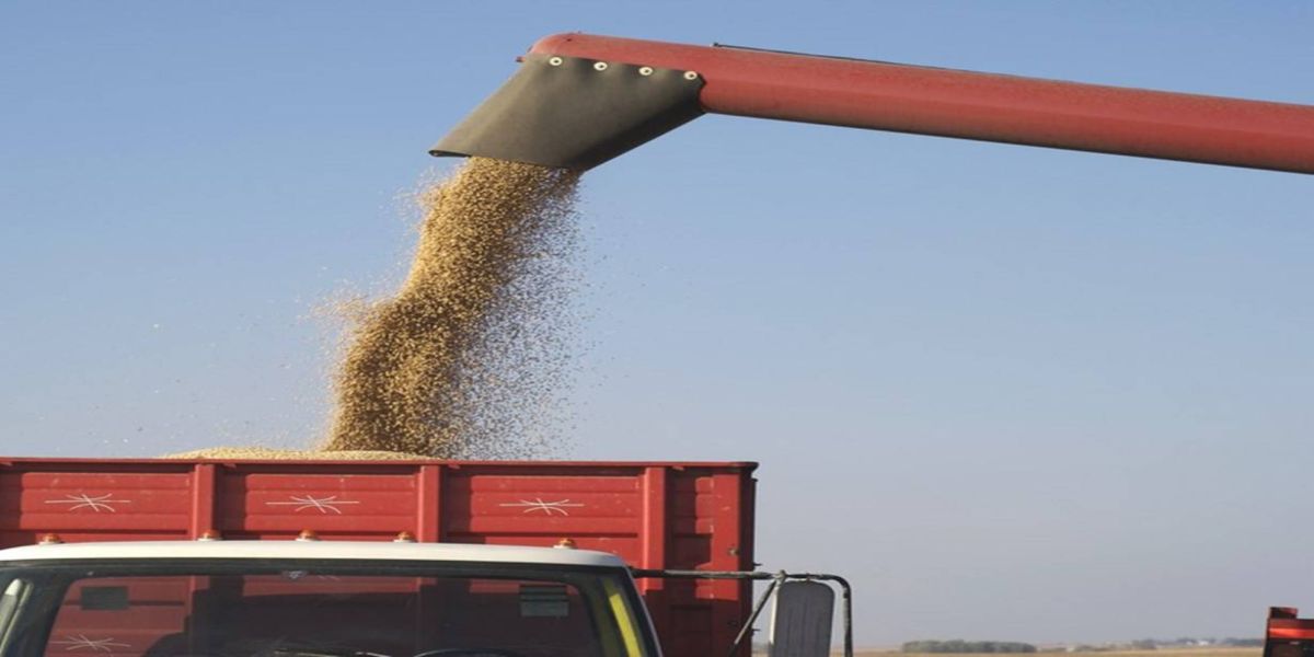 Exportações do Agro batem recorde e superam os US$ 10 bilhões em abril