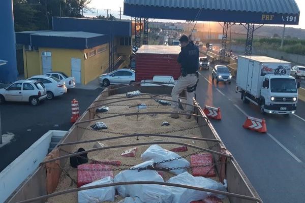 No Paraná, PRF apreende 171 toneladas de drogas no primeiro semestre de 2025