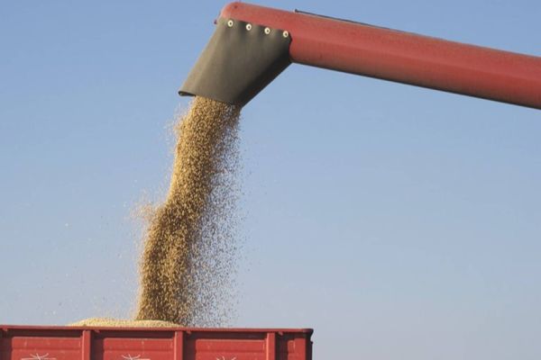 Exportações do agronegócio brasileiro de abril atingiram valor recorde