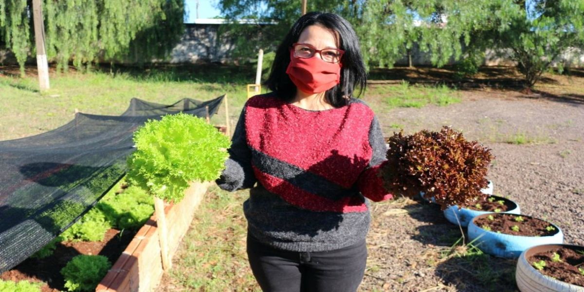 Sistema de aquaponia resulta em hortaliças a famílias de alunos da rede pública em Cascavel