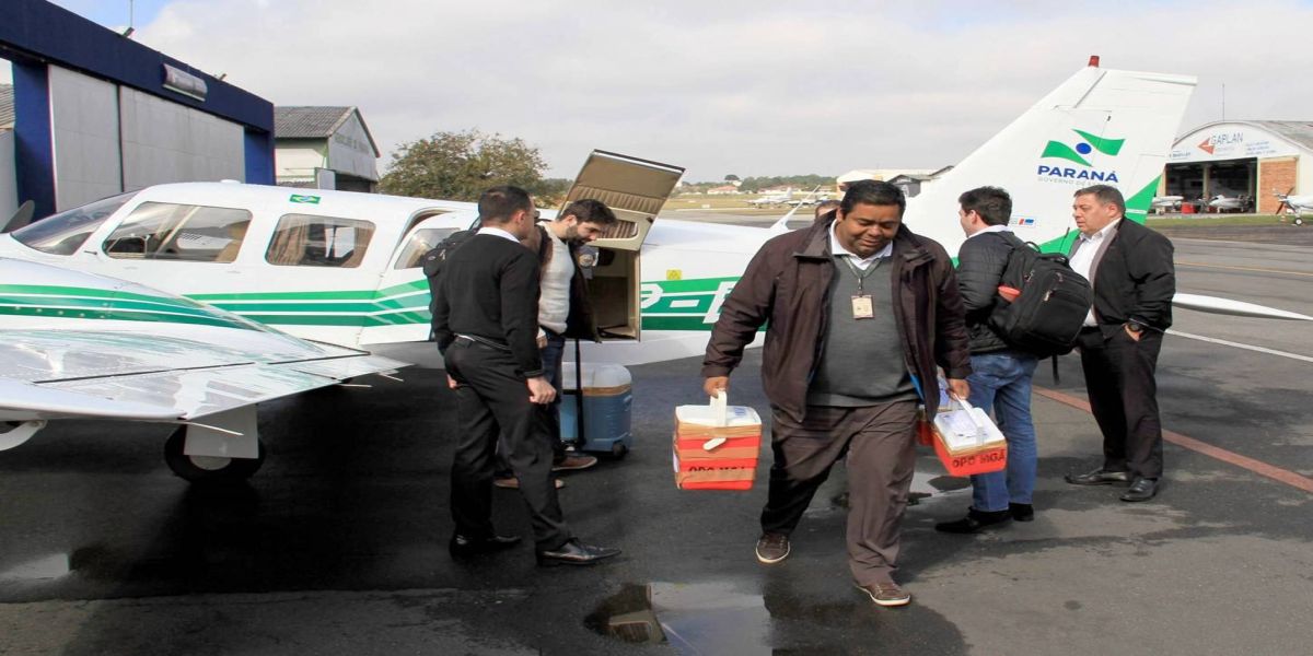 Paraná mantém liderança nas doações de órgãos mesmo com Covid-19