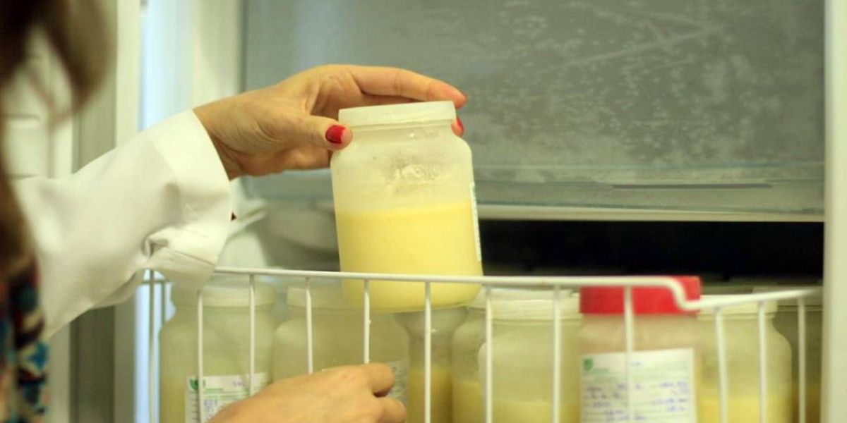 Dia da Doação de Leite Humano: processo de qualidade dura cerca de 10 dias