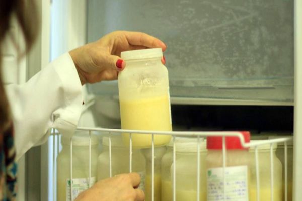 Dia da Doação de Leite Humano: processo de qualidade dura cerca de 10 dias