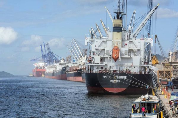 Nove produtos paranaenses tiveram crescimento superior a 30% nas exportações em 2025