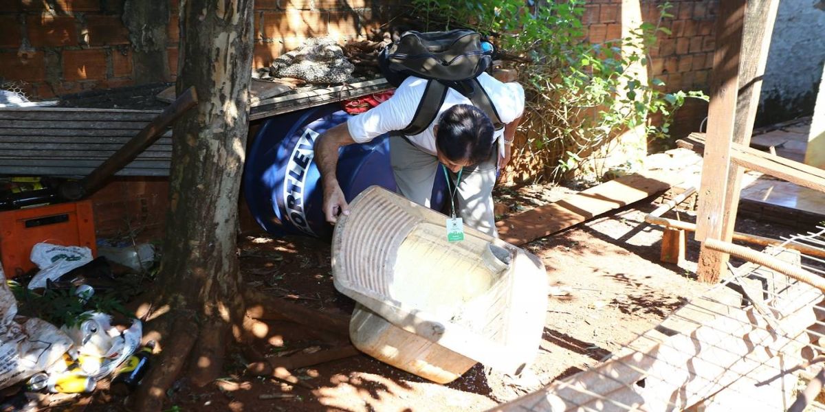 Cascavel vive a maior epidemia de dengue da história! E o que tem sido feito para combater!