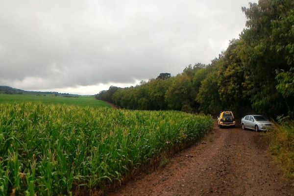 PM realização apreensão de mais 150kg de maconha nas margens do lago Itaipu