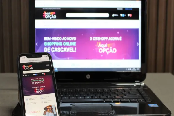 Foto relacionada a notícia: Loja virtual, marketplace ou shopping online: entenda as diferenças e saiba escolher qual é melhor