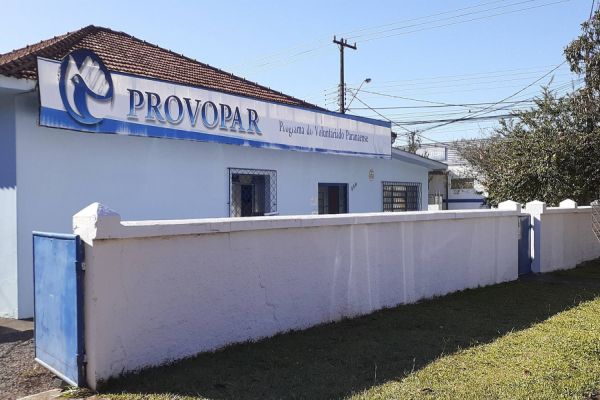 Drive-Thru Solidário está suspenso, mas entidades continuam a receber doações em suas sedes