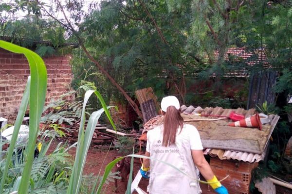 Governo sanciona projeto que estabelece medidas de combate à dengue