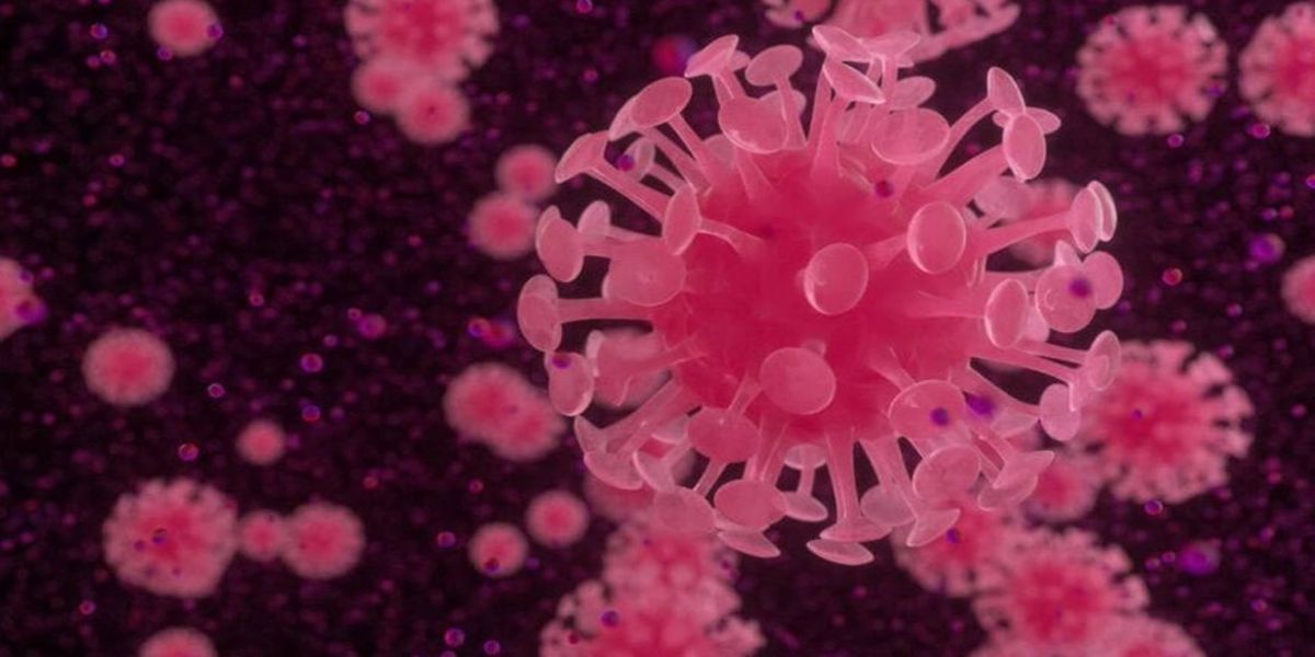 Paraná acumula 4.236 pacientes com diagnóstico pelo novo coronarívus e 173 mortes